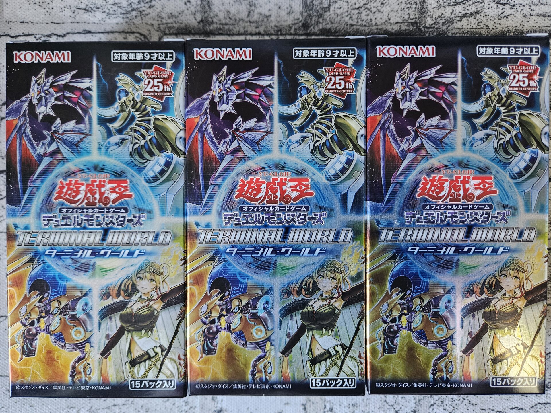 3BOX開封】ランセアがかっこいい。あと左腕も封入されている「TERMINAL