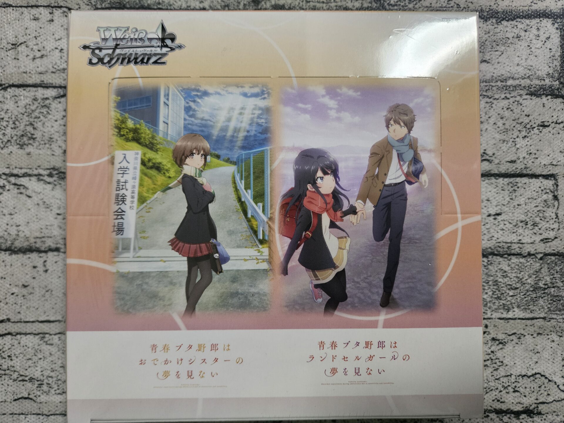 2024/03/15版【最新当たりランキング】「『青春ブタ野郎 2024/03/15版【最新当たりランキング】「『青春ブタ野郎