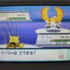 ポケットモンスター ソウルシルバーでの、色違いのホウオウとの野生の戦闘画面